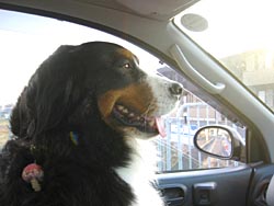 �΁[�Ɂ[�A�w���!!