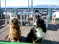 �����������A�y���������ˁB������!!