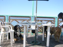 ���i�΂̌i�F���ƂĂ����ꂢ�ł��B