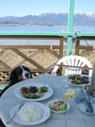 �΁[�Ɂ[�A�����ɂ�����