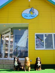 �݂�ȂŋL�O�ʐ^!!