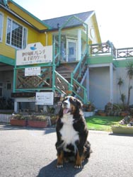 ���X�̑O�ŁE�E�E�B