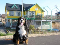 ���i�΂̕ӂ��烌�X�g������]��ŁE�E�E�B