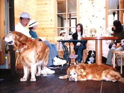 �����������A�����`�B