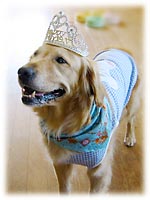 7歳のエリーちゃん