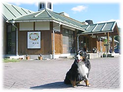 おしゃれなコテージ風の建物