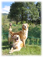 エリーちゃんとハイジちゃん