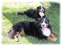 音音ちゃんと一緒に木陰で