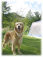 大喜びエリーちゃん