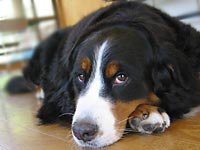 �����܂��΁[�Ɂ[