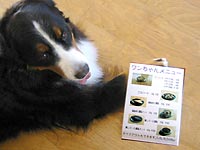 「どれにしようかなっ!」