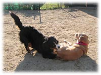 �u���Ղ��I�v