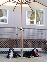 �������Ƃ��났�^�C��