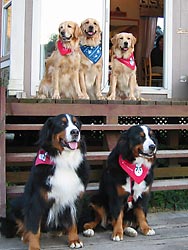 �݂�ȂƋL�O�ʐ^�B�p�`���I