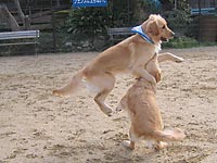 ����`��ՁI