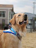 �G���[�����