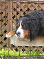 �x���`�̏�ŁI