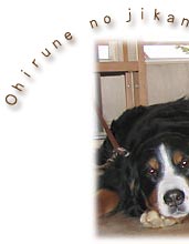 �΂��A�܂ǂ�݂̒��E�E�E�B