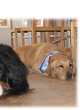 �˂ނ˂ށE�E�E�B