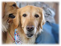 �G���[�����