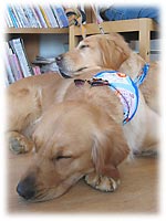 �t����&�G���[�����