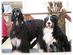 �u�Ƃ��Ă�����Ȃ̂ˁB�B�B�v