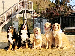 �݂�ȂƋL�O�ʐ^�I