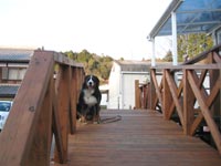 �傫�ȃX���[�v�ł��܂����I