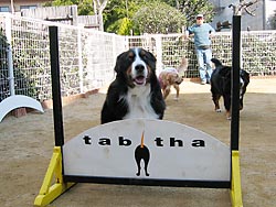 �u�n�[�h���A����ł݂ĂˁI�v