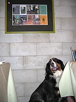 ���X�g�����ŋL�O�ʐ^