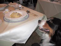 ���肱���΁[�Ɂ[