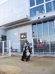 �����܂��΁[�Ɂ[