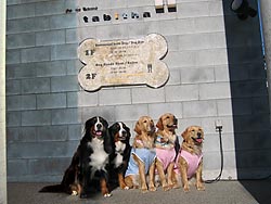 �݂�ȂƋL�O�ʐ^