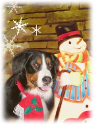 ばーにーとスノーマン