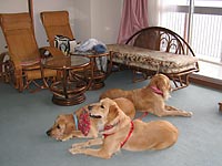 ���났�^�C���̃G���[�����e�q