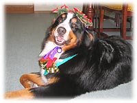 ���߂������������