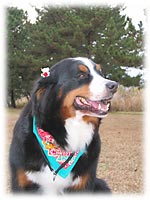 ご機嫌音音ちゃん