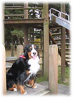 湖岸沿いは公園になっています。