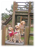 お散歩たのしいね!