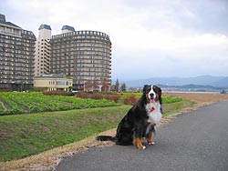 ホテルの前で・・・。