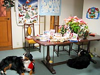 ��񂱂ƈꏏ�̃N���X�}�X