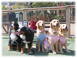 �u�݂�Ȃƈꏏ�A�y�����ˁ`�I�v