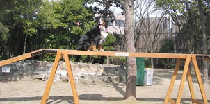 �u������Ƃ��ԂȂ������I�C�����āI�v