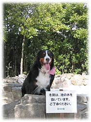 �u����H�����v�[���Ȃ́H�v