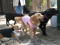 ��񂱂������ς�����B