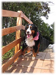 �u�r���񂪎g���݂��������ǁE�E�E�B�v