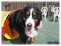 �u�Ƃ��ꂽ��`�I�v