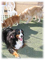 �p���\���̉e�ŋx�e�^�C��