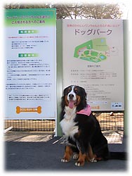 �h�b�O�p�[�N������ŁB