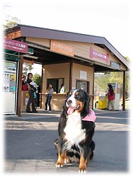 �u�������ɓ���������h�ł��B�v